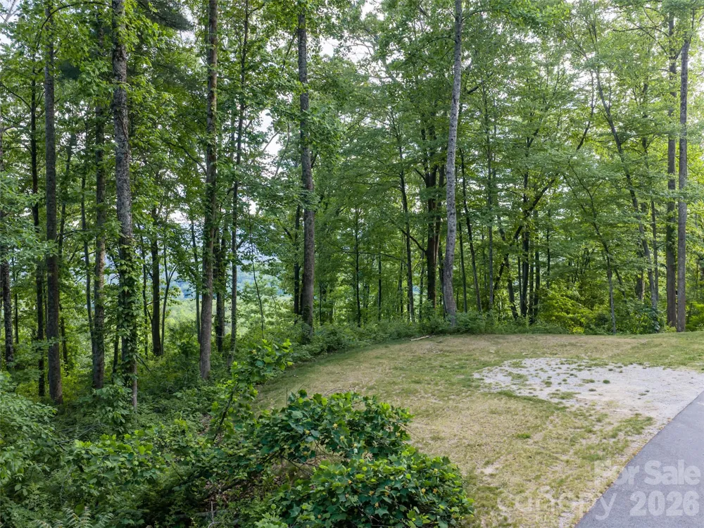 000 New Sprout Lane #2 Hendersonville, NC 28792