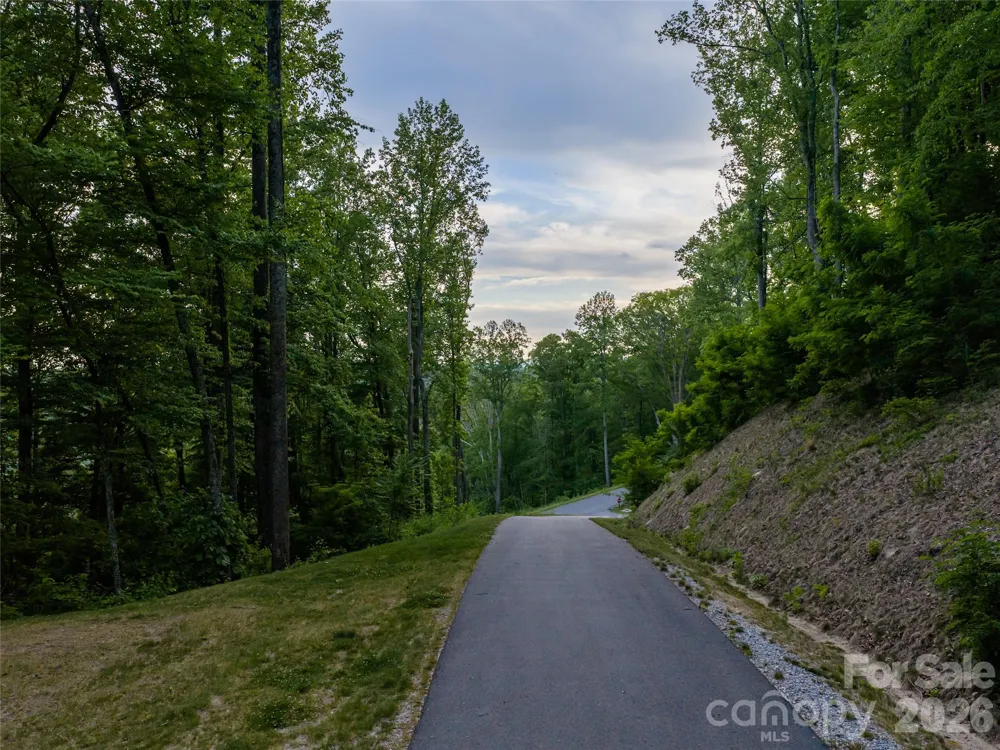 000 New Sprout Lane #2 Hendersonville, NC 28792