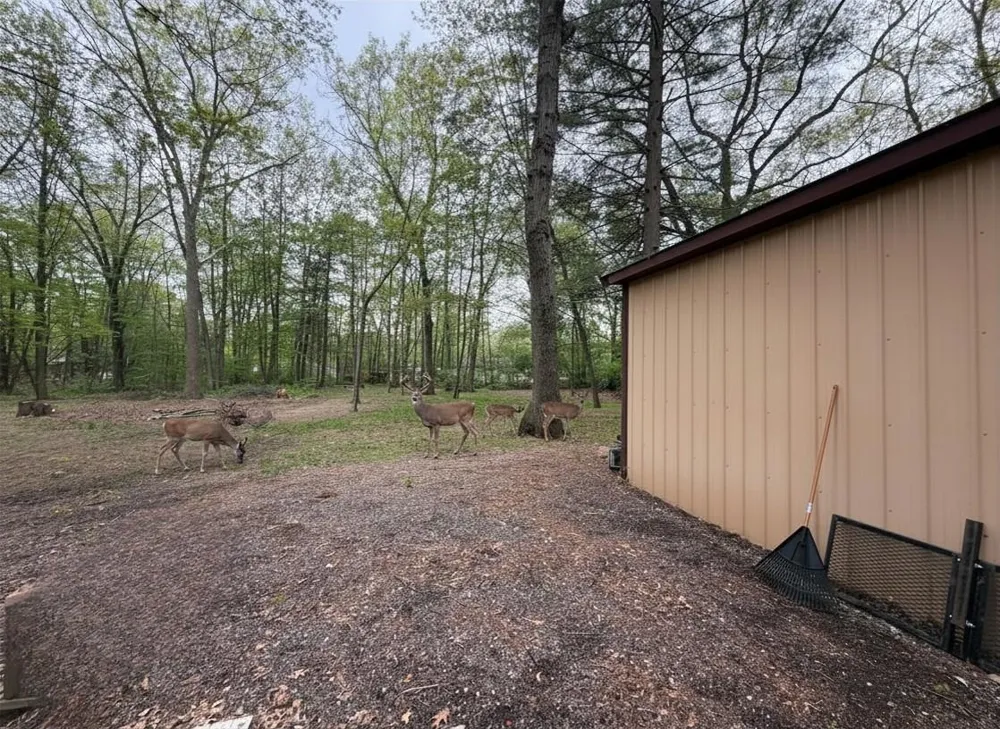 2245 Edgewood Surrey Township, MI 48622