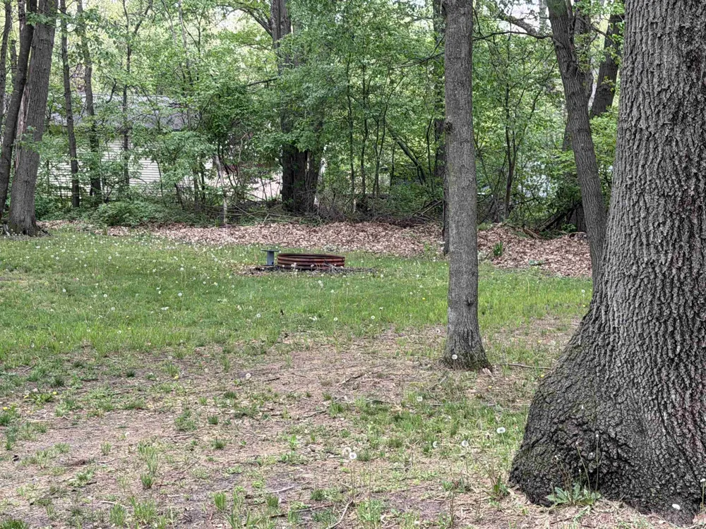 2245 Edgewood Surrey Township, MI 48622