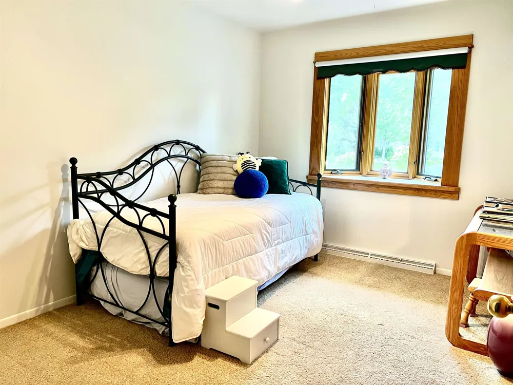 1210 Glenwood Drive Mt Pleasant City, MI 48858