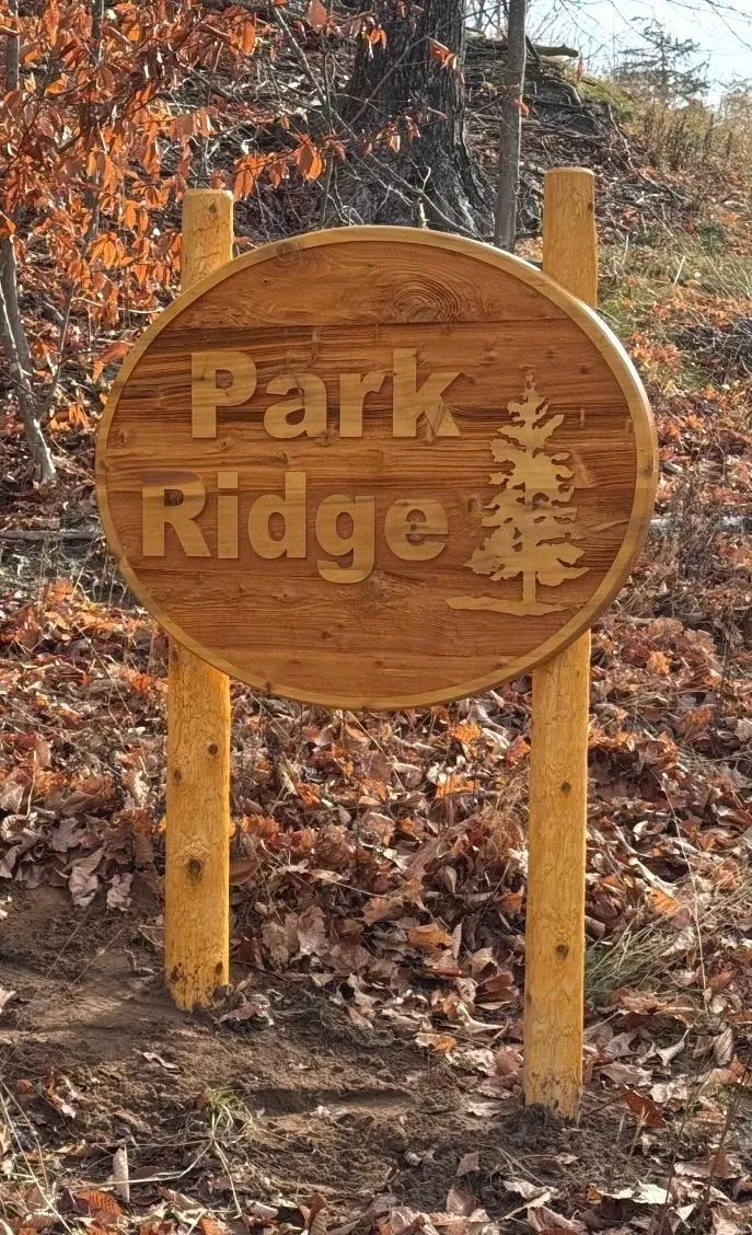 Park Ridge Lake Township, MI 49635