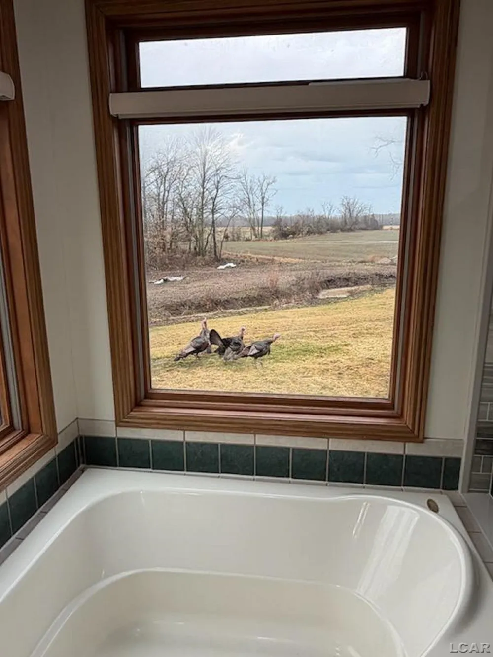5397 Elm Road Pittsford Township, MI 49247