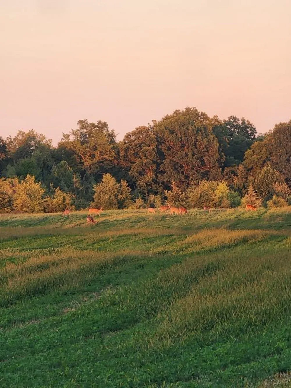 5397 Elm Road Pittsford Township, MI 49247