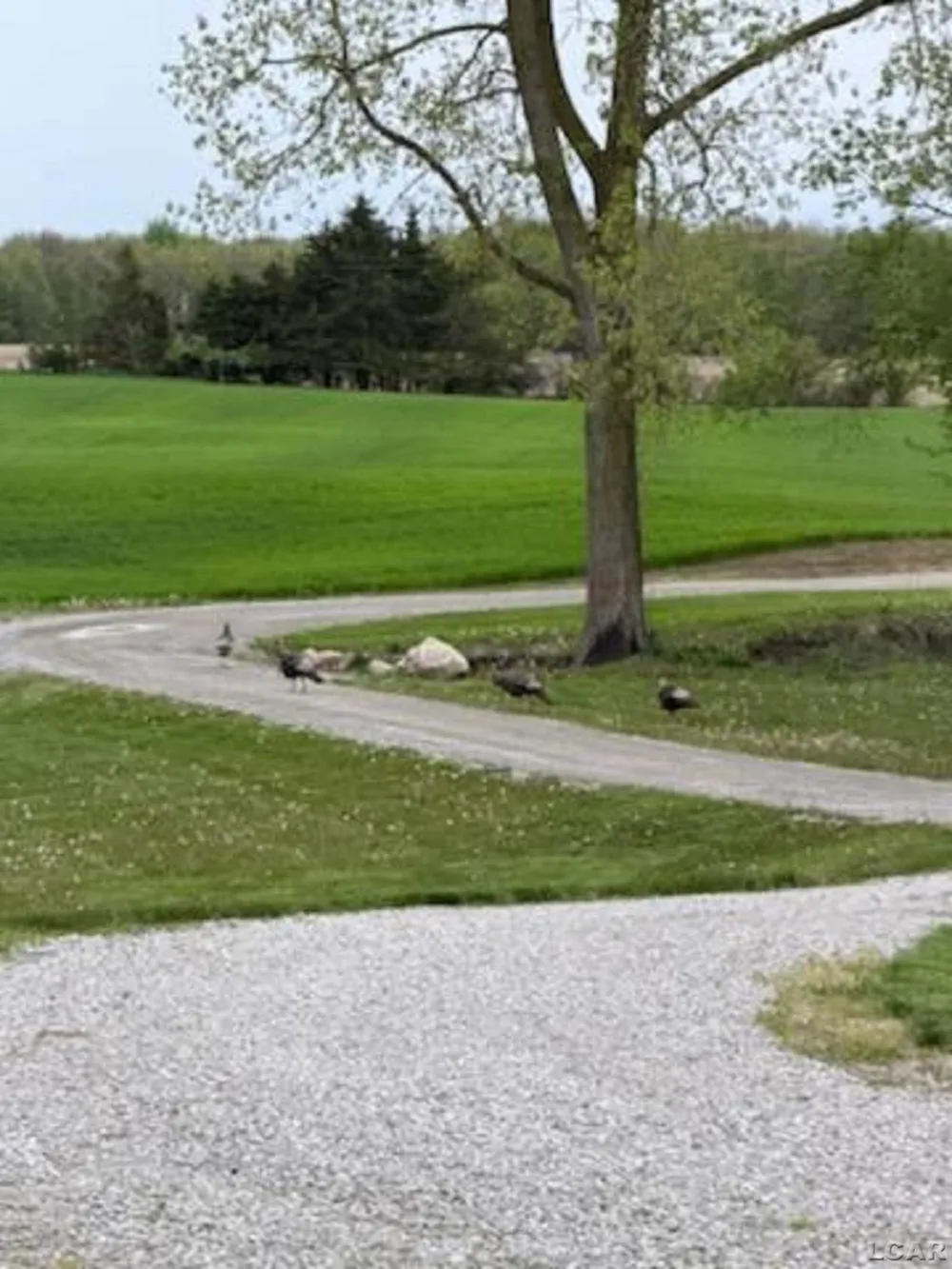 5397 Elm Road Pittsford Township, MI 49247