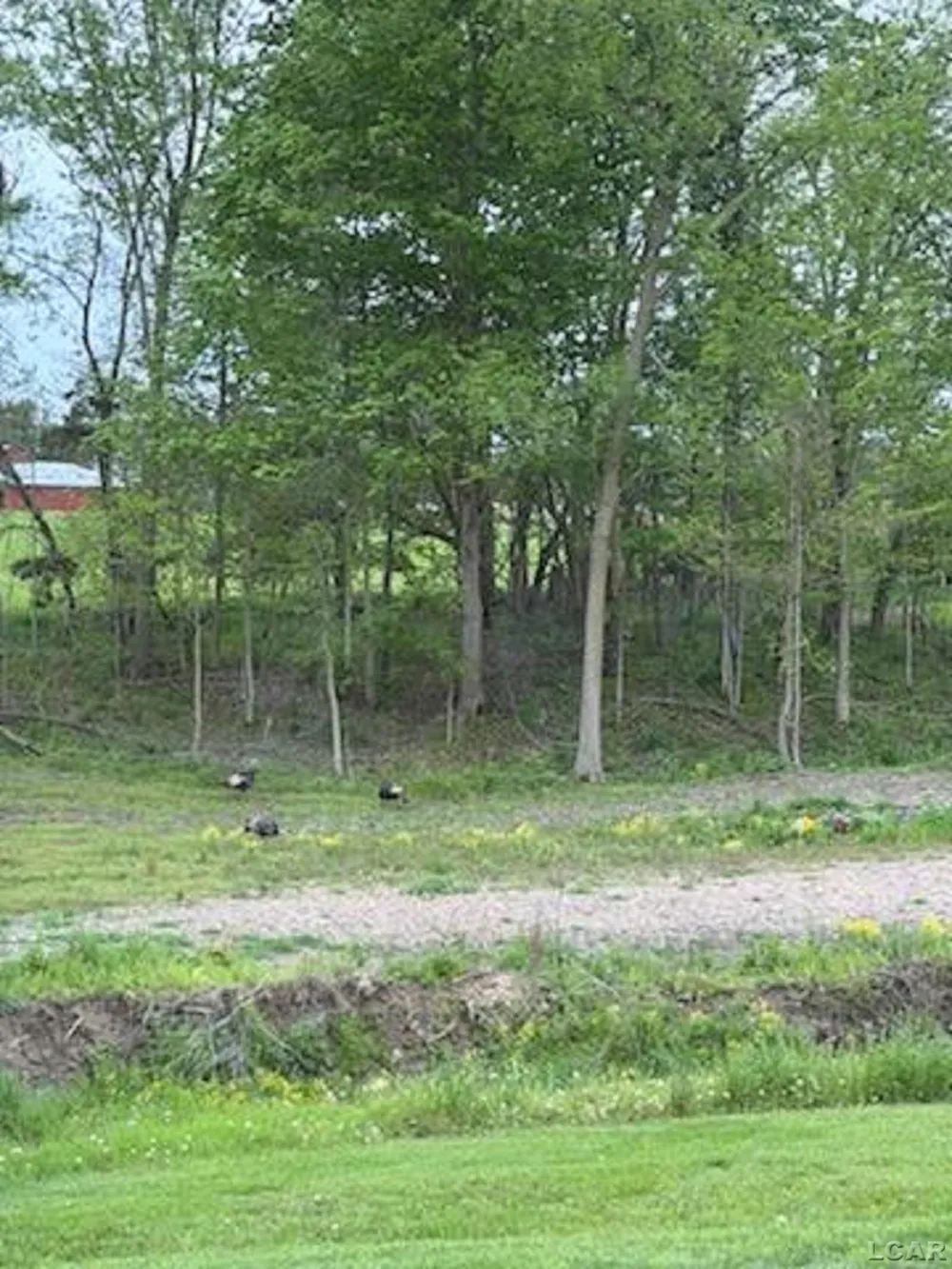 5397 Elm Road Pittsford Township, MI 49247