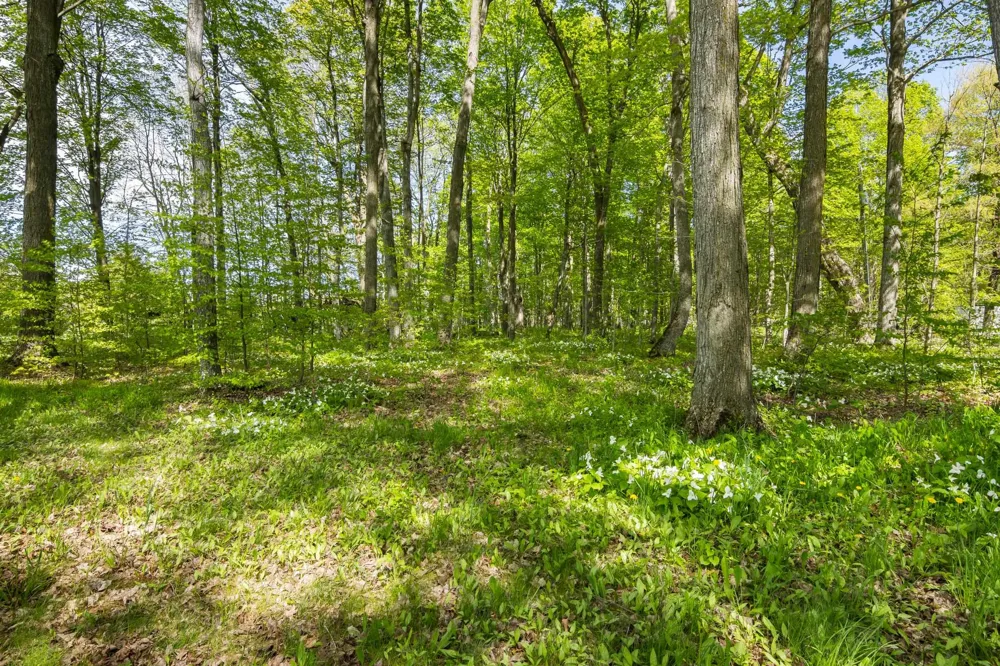 2799 Lake Ann Road Inland Township, MI 49643