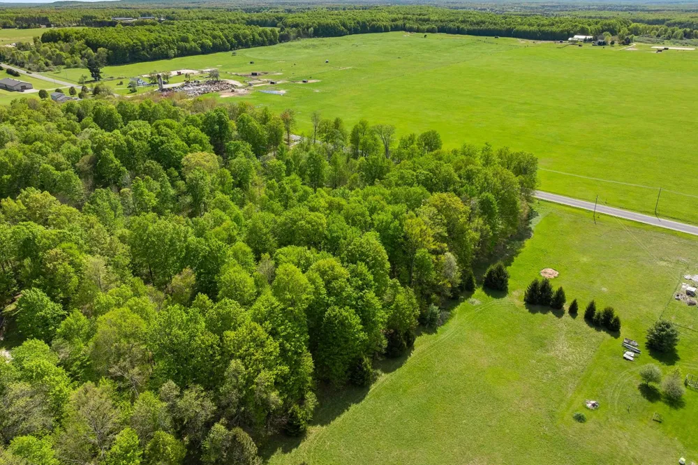 2799 Lake Ann Road Inland Township, MI 49643