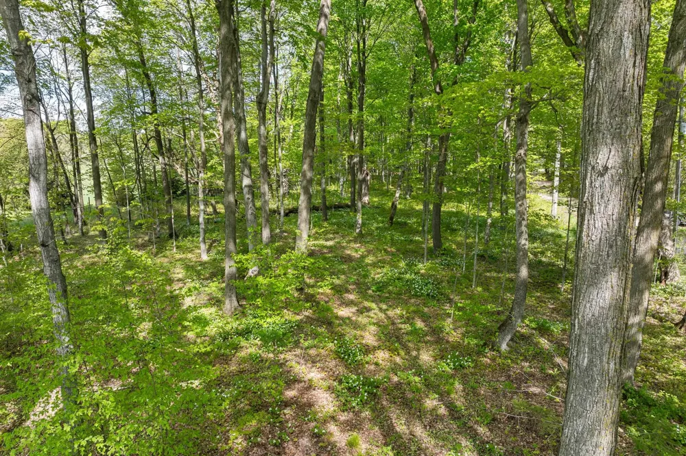 2799 Lake Ann Road Inland Township, MI 49643