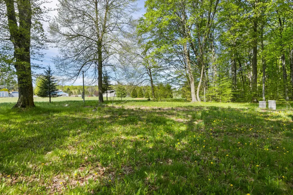 2799 Lake Ann Road Inland Township, MI 49643