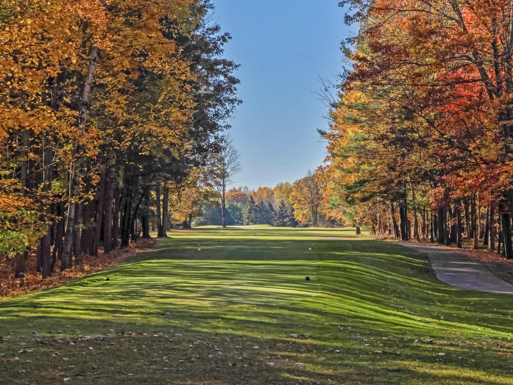 11014 E Royal Road Morton Township, MI 49346