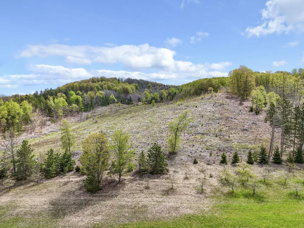 3300 Old M-37 Springville Township, MI 49668