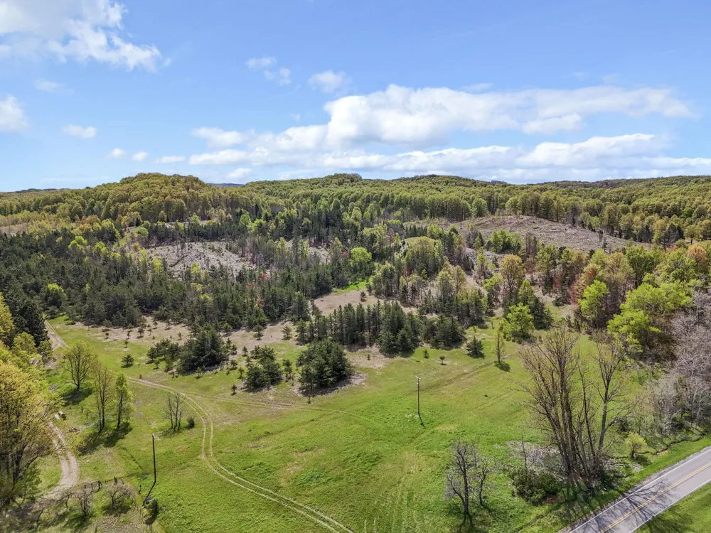 3300 Old M-37 Springville Township, MI 49668
