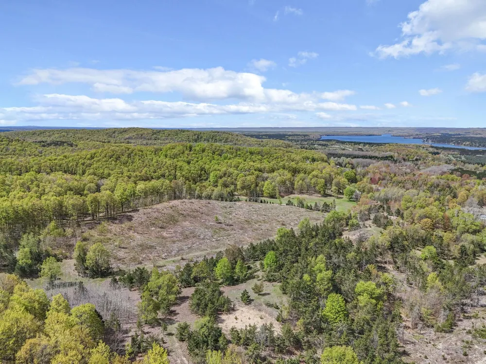 3300 Old M-37 Springville Township, MI 49668
