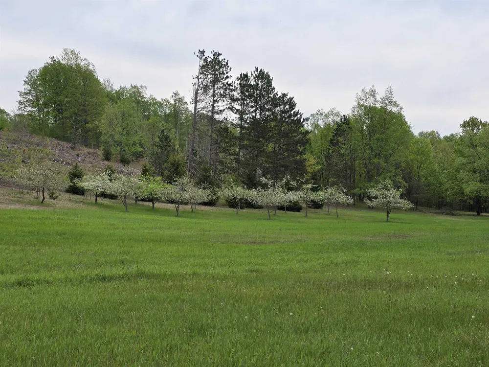 3300 Old M-37 Springville Township, MI 49668