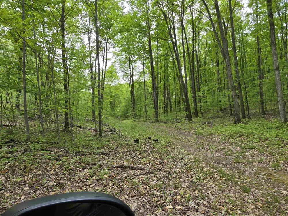3300 Old M-37 Springville Township, MI 49668