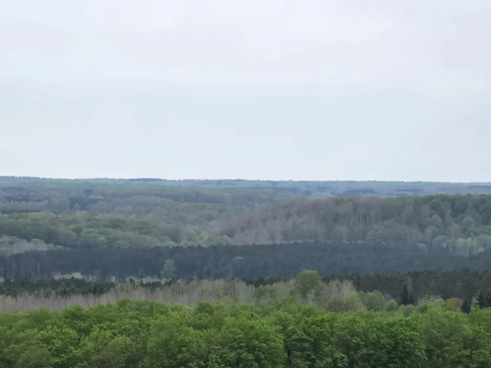 3300 Old M-37 Springville Township, MI 49668