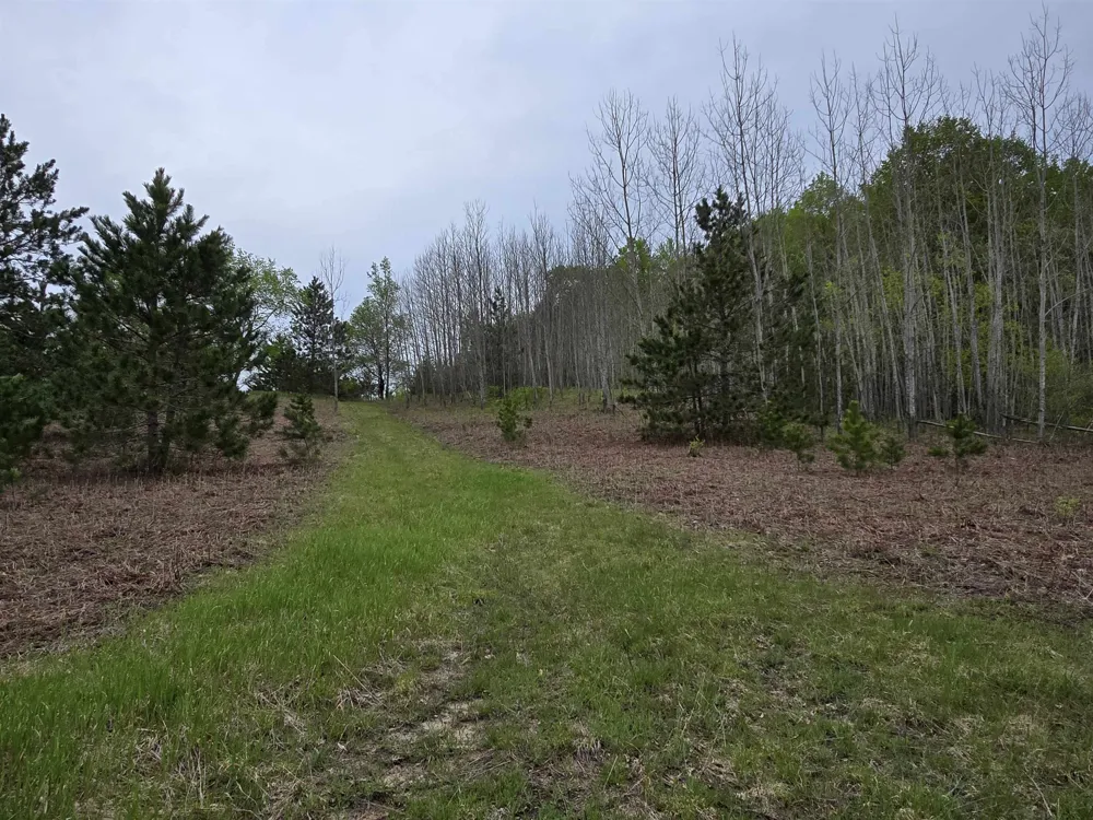 3300 Old M-37 Springville Township, MI 49668