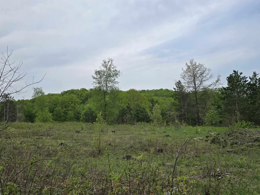3300 Old M-37 Springville Township, MI 49668
