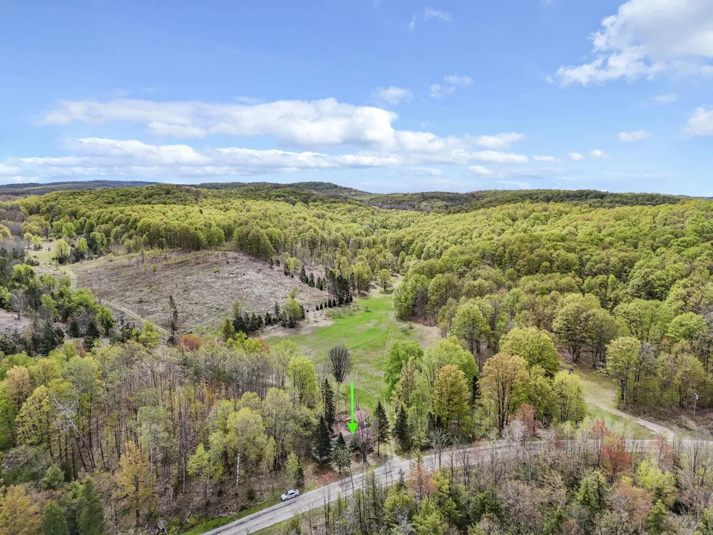 3300 Old M-37 Springville Township, MI 49668