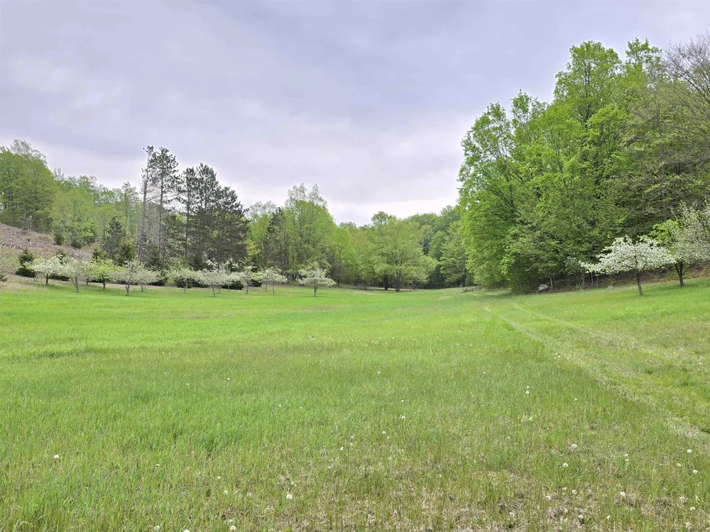 3300 Old M-37 Springville Township, MI 49668