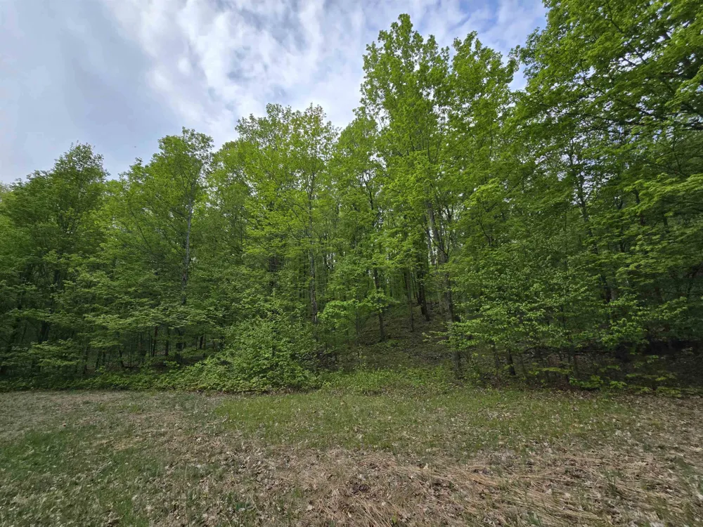 3300 Old M-37 Springville Township, MI 49668