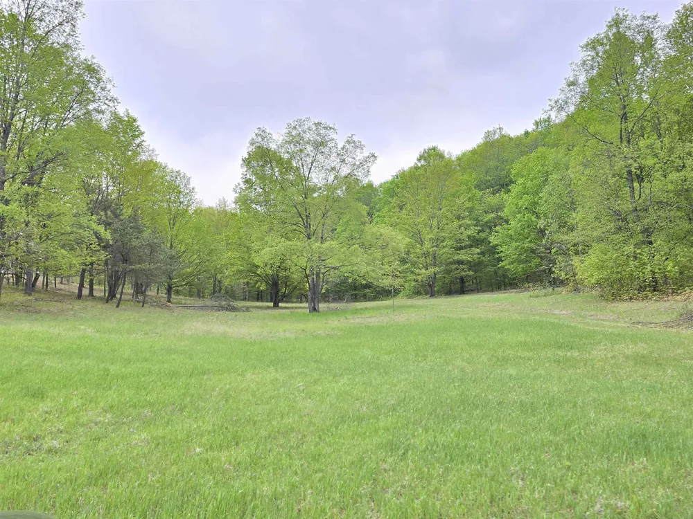 3300 Old M-37 Springville Township, MI 49668
