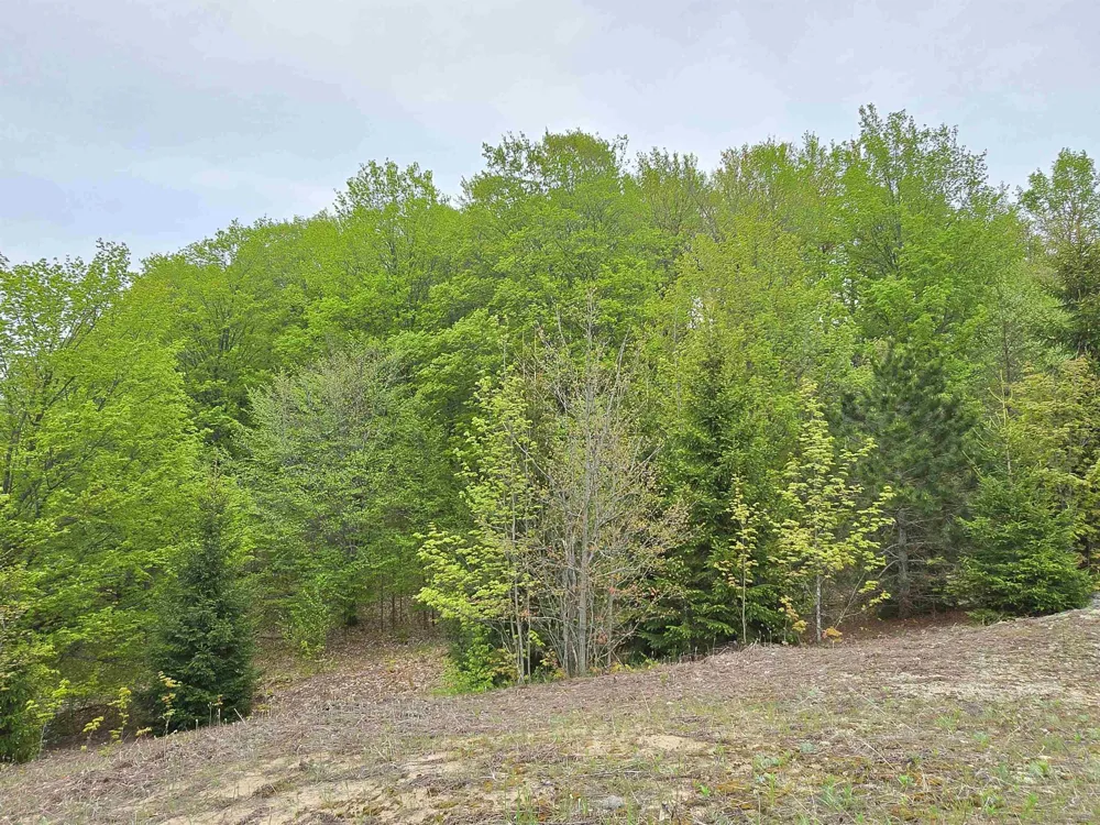 3300 Old M-37 Springville Township, MI 49668