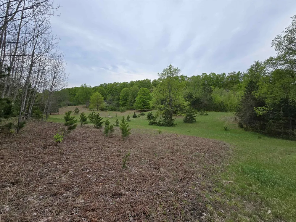 3300 Old M-37 Springville Township, MI 49668