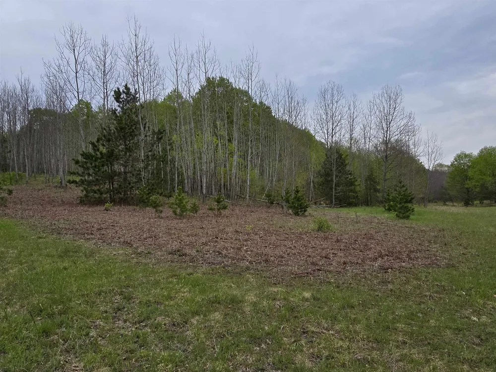 3300 Old M-37 Springville Township, MI 49668