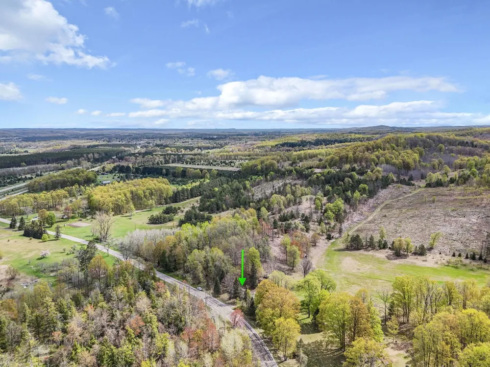 3300 Old M-37 Springville Township, MI 49668