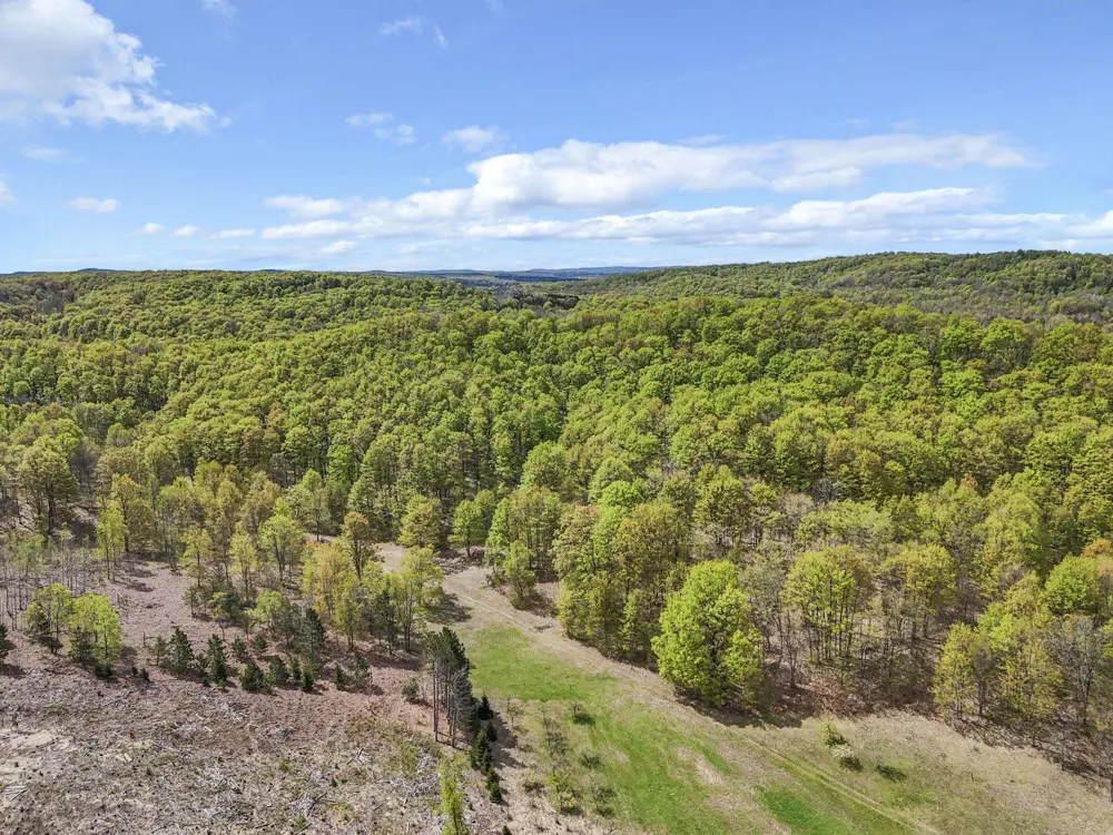 3300 Old M-37 Springville Township, MI 49668