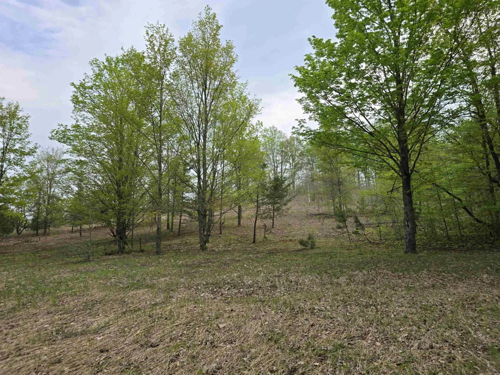3300 Old M-37 Springville Township, MI 49668