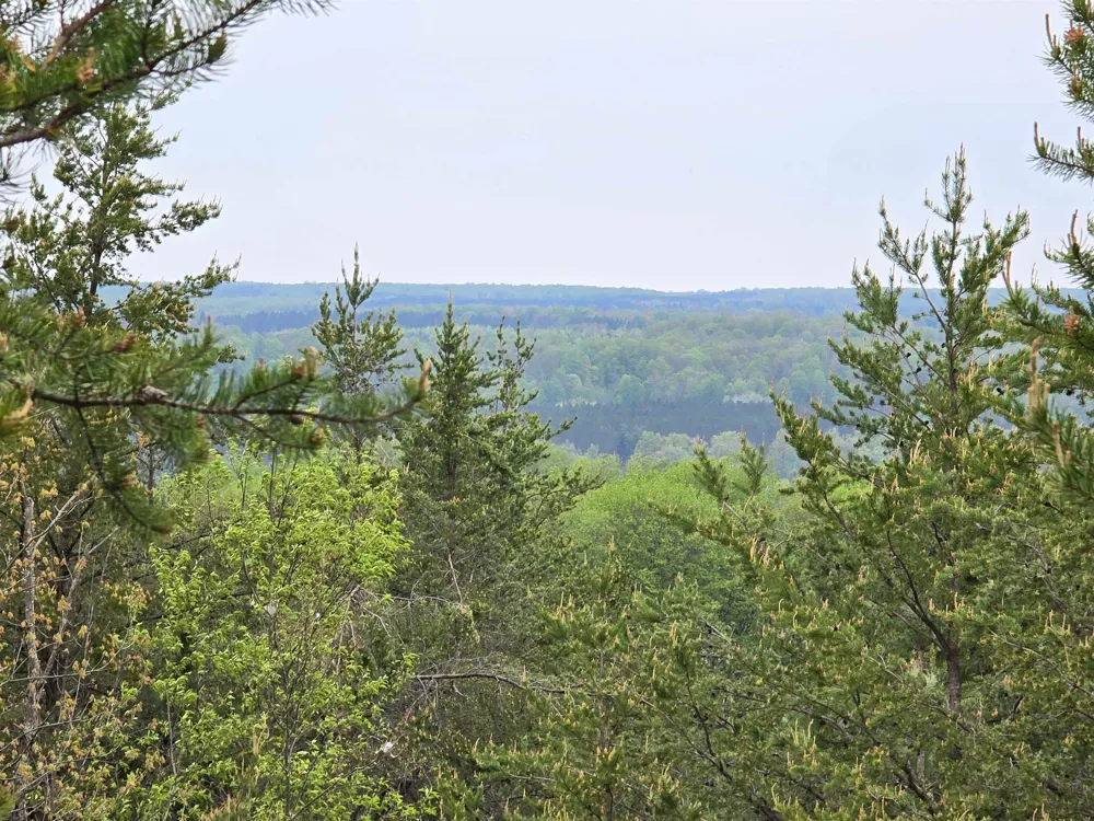 3300 Old M-37 Springville Township, MI 49668