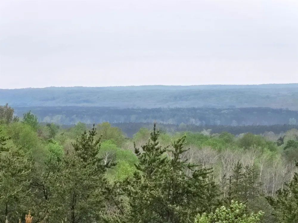 3300 Old M-37 Springville Township, MI 49668