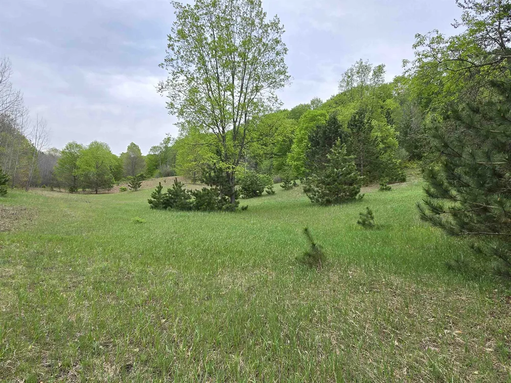 3300 Old M-37 Springville Township, MI 49668
