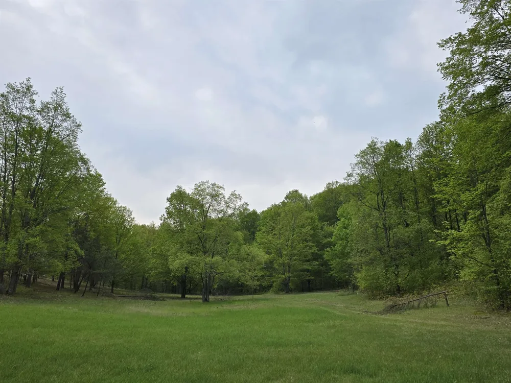 3300 Old M-37 Springville Township, MI 49668