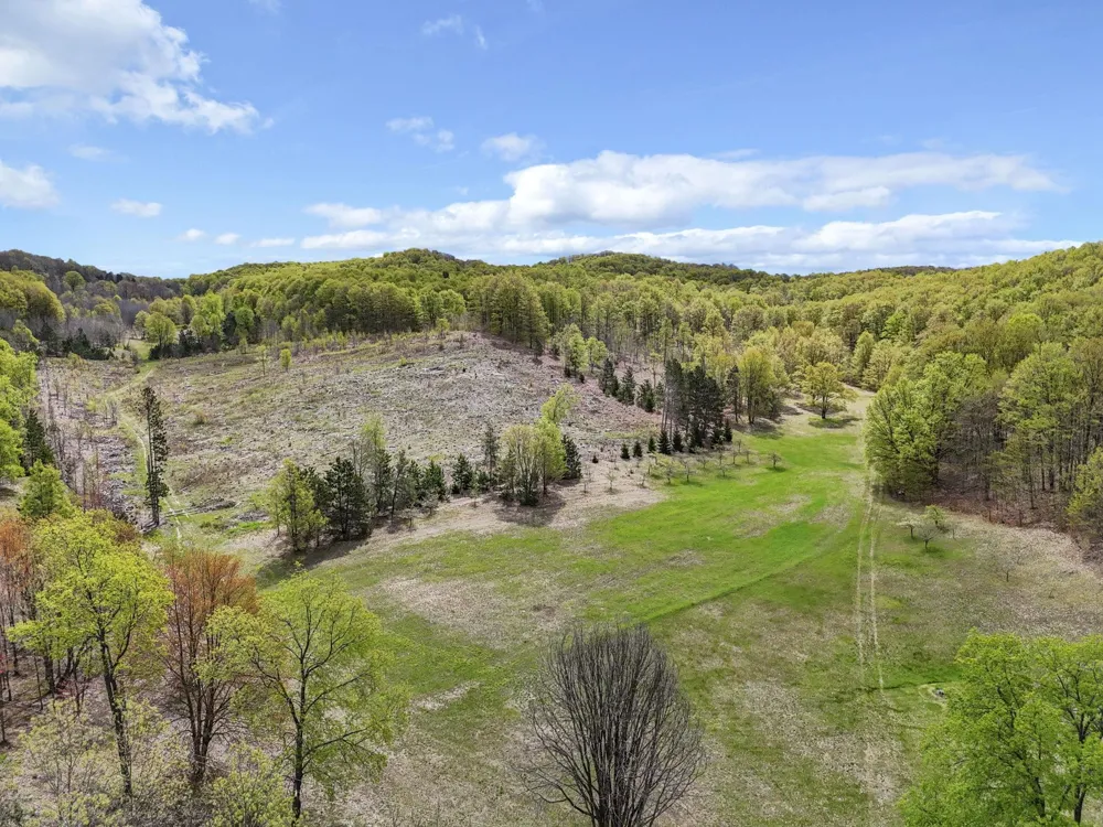 3300 Old M-37 Springville Township, MI 49668