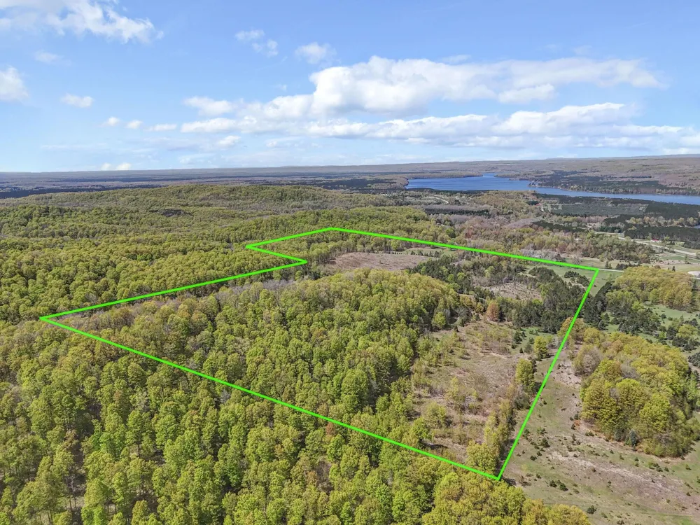 3300 Old M-37 Springville Township, MI 49668