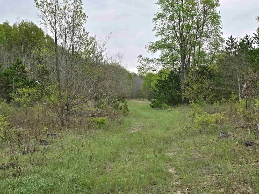 3300 Old M-37 Springville Township, MI 49668