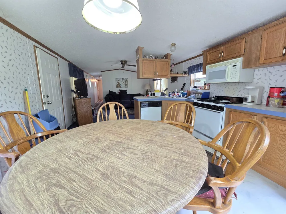 3300 Old M-37 Springville Township, MI 49668