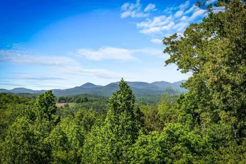 479 Big Timber Road