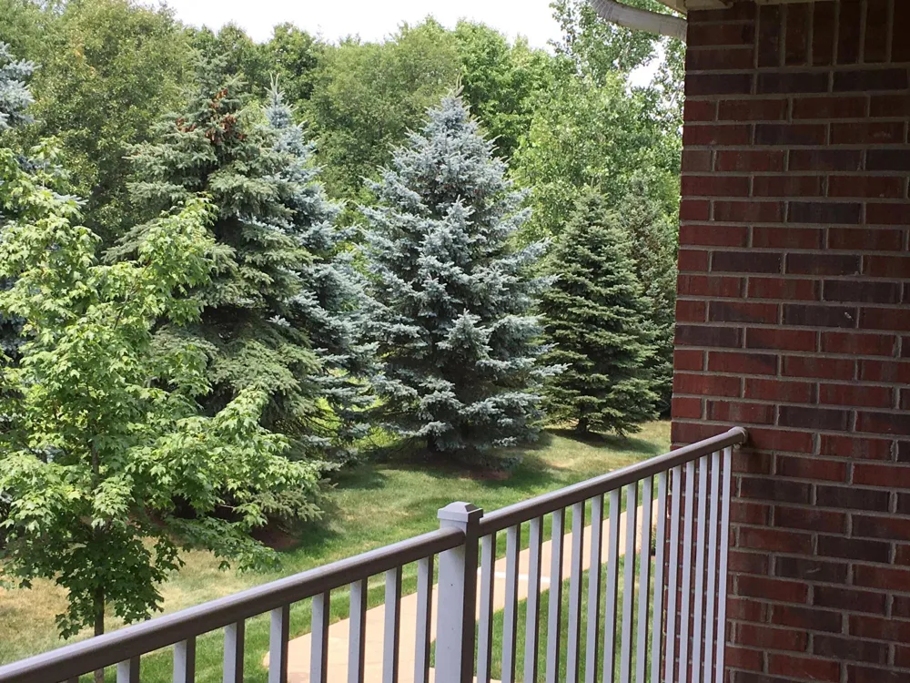 20209 Chesapeake Circle Commerce Charter Township, MI 48390
