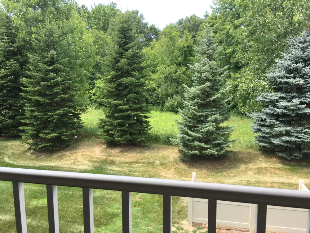 20209 Chesapeake Circle Commerce Charter Township, MI 48390
