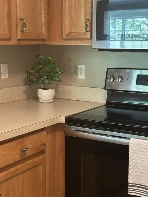 20209 Chesapeake Circle Commerce Charter Township, MI 48390