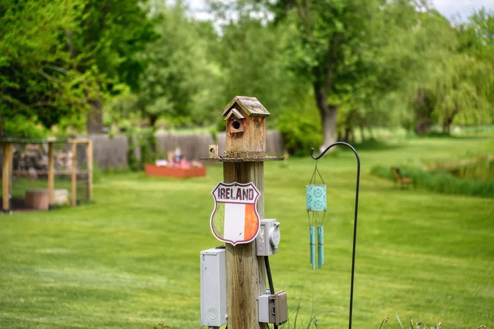 6541 Ackerson Lake Road Napoleon Township, MI 49201