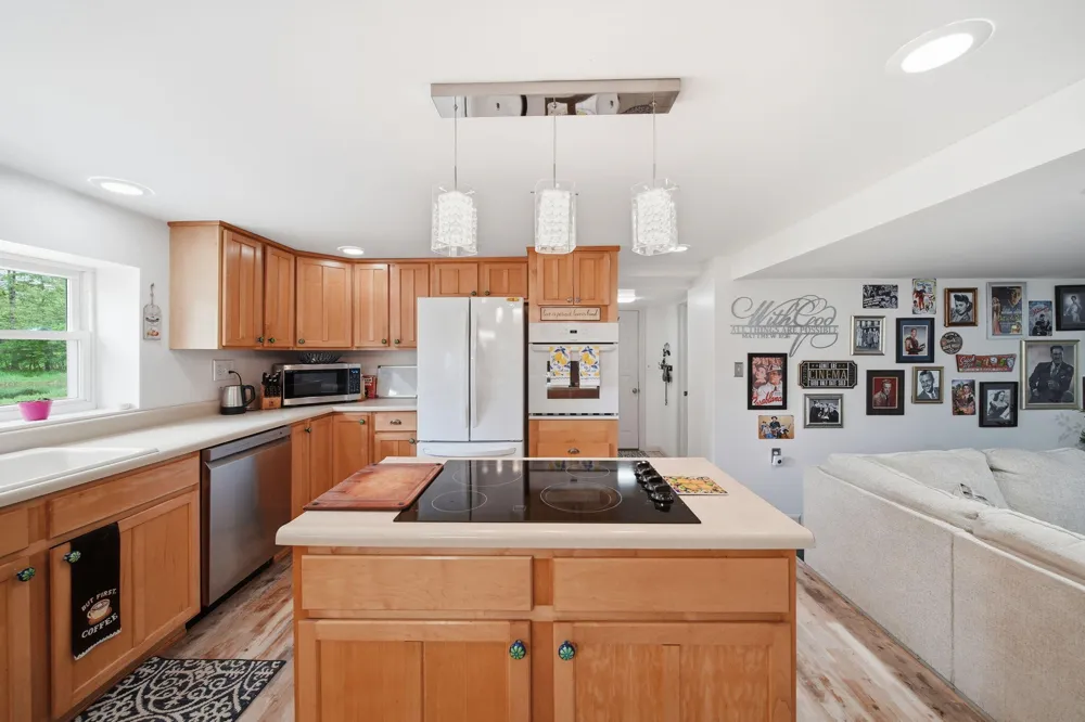 6541 Ackerson Lake Road Napoleon Township, MI 49201