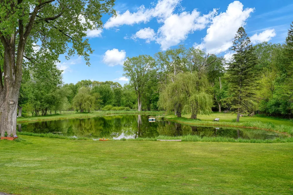 6541 Ackerson Lake Road Napoleon Township, MI 49201