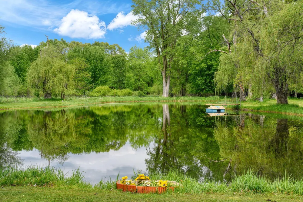 6541 Ackerson Lake Road Napoleon Township, MI 49201