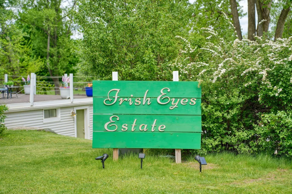 6541 Ackerson Lake Road Napoleon Township, MI 49201